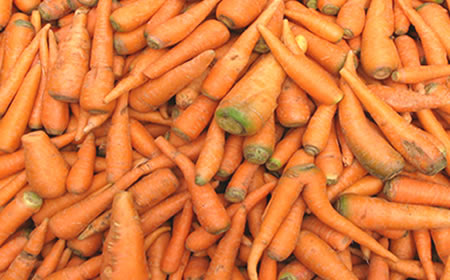 Как выбрать морковь без ГМО и нитратов