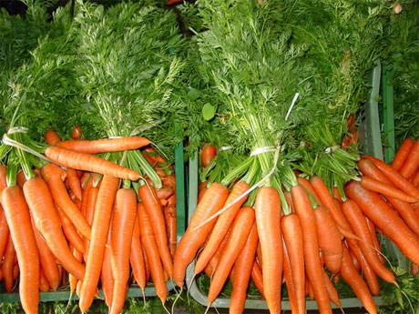 Как выбрать морковь?